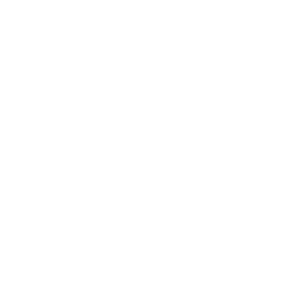 eVisitor
